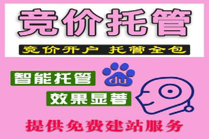 案例分享：百度竞价排名助力企业实现跨越式发展